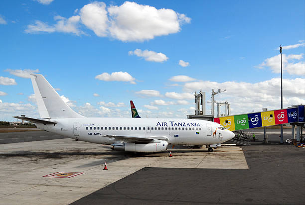  Flight Connections in Tanzania Explained 